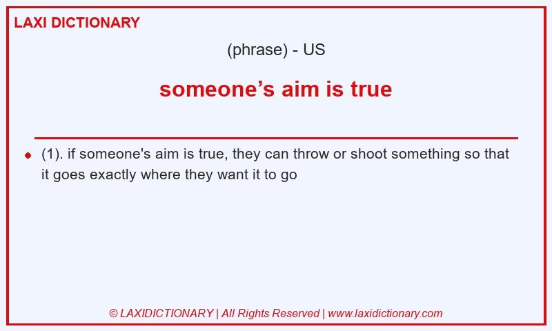 Definition someone’s aim is true in American English