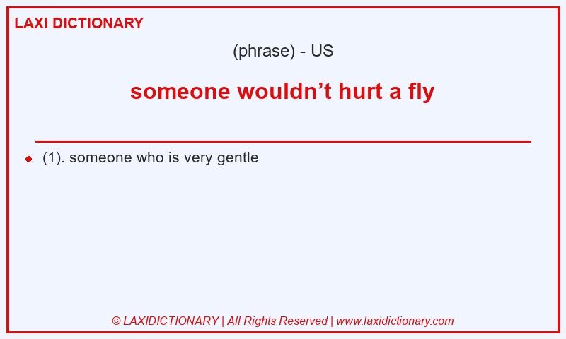 Definition someone wouldn’t hurt a fly in American English
