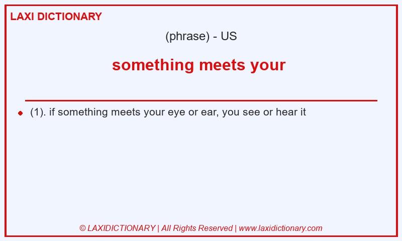 Definition something meets your  in American English