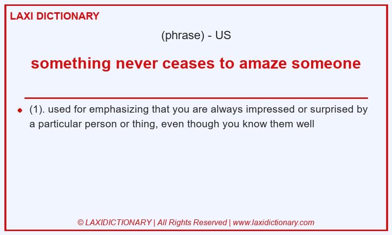 Definition something never ceases to amaze someone in American English