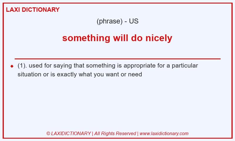 Definition something will do nicely in American English
