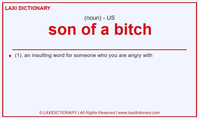 Definition son of a bitch in American English