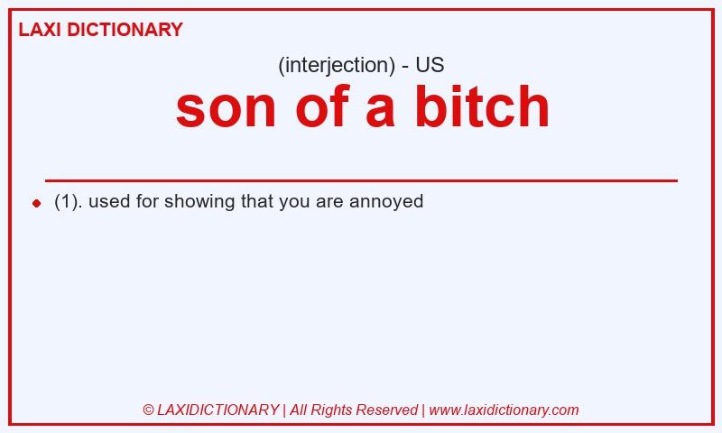Definition son of a bitch in American English