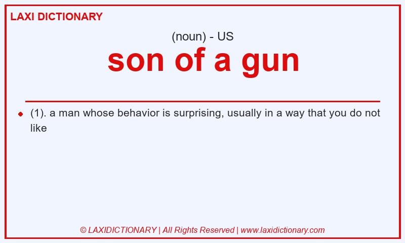Definition son of a gun in American English