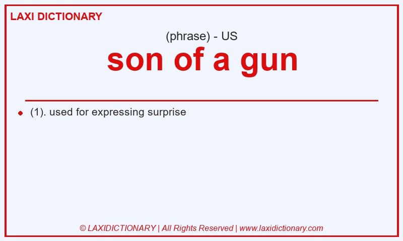 Definition son of a gun in American English