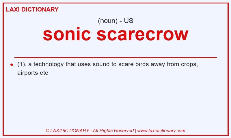 Definition sonic scarecrow in American English