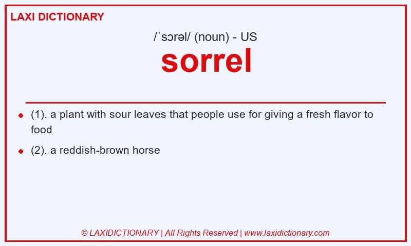 Definition sorrel in American English