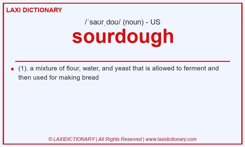Definition sourdough in American English