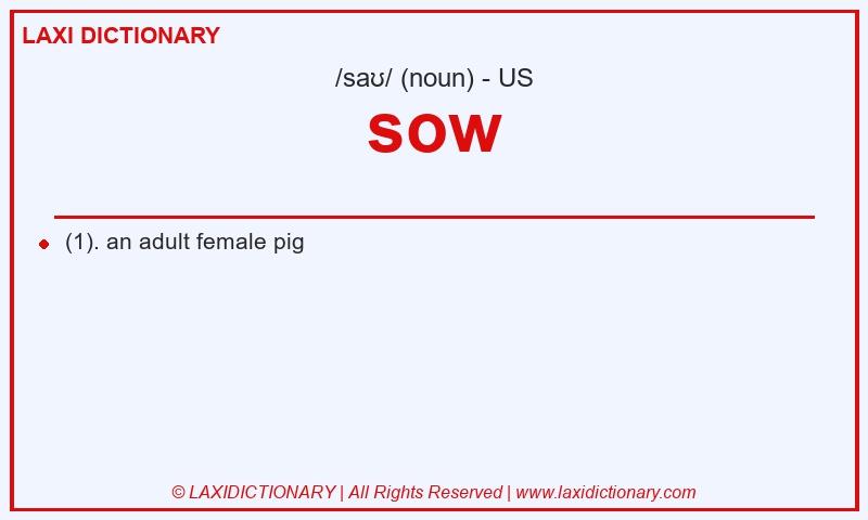Definition sow in American English