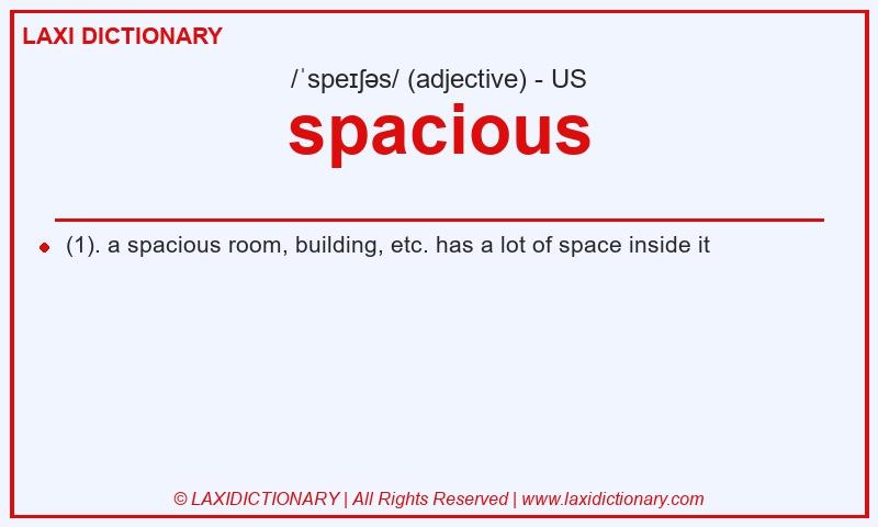 Definition spacious in American English