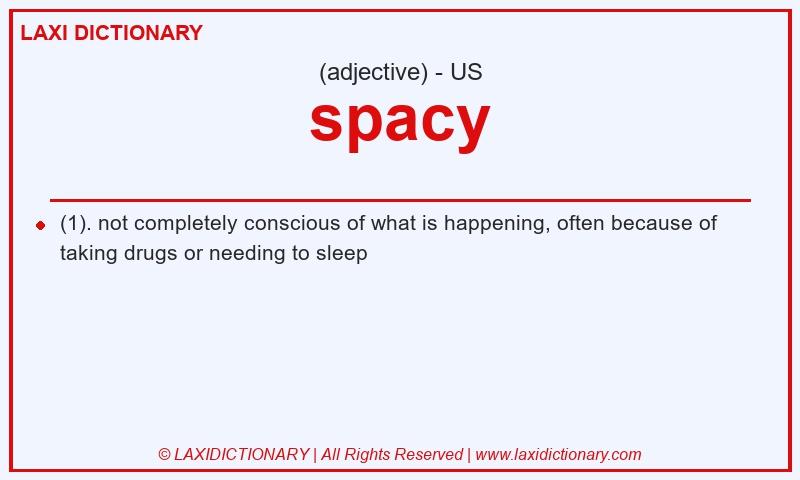 Definition spacy in American English
