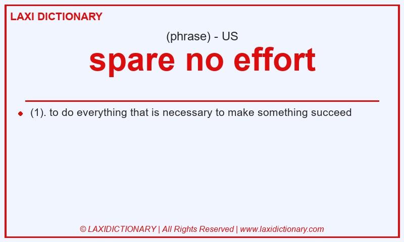 Definition spare no effort in American English