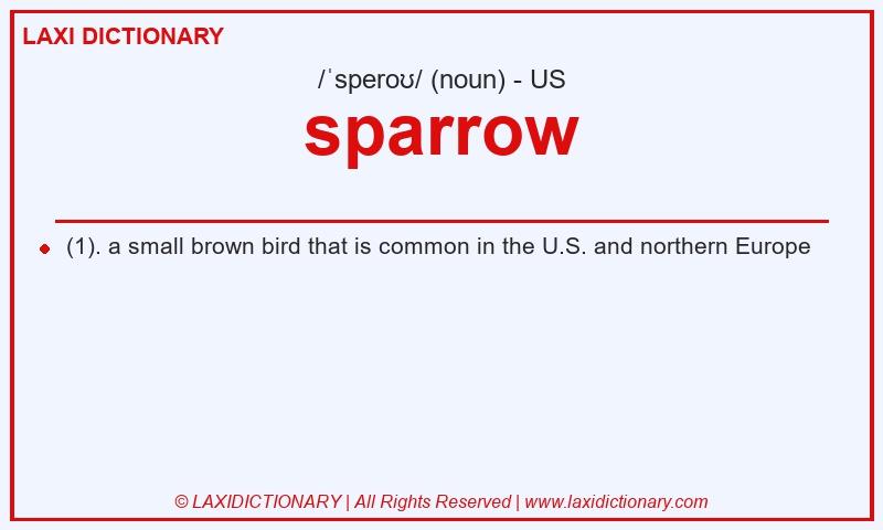 Definition sparrow in American English