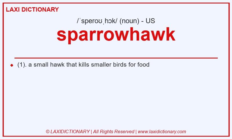 Definition sparrowhawk in American English