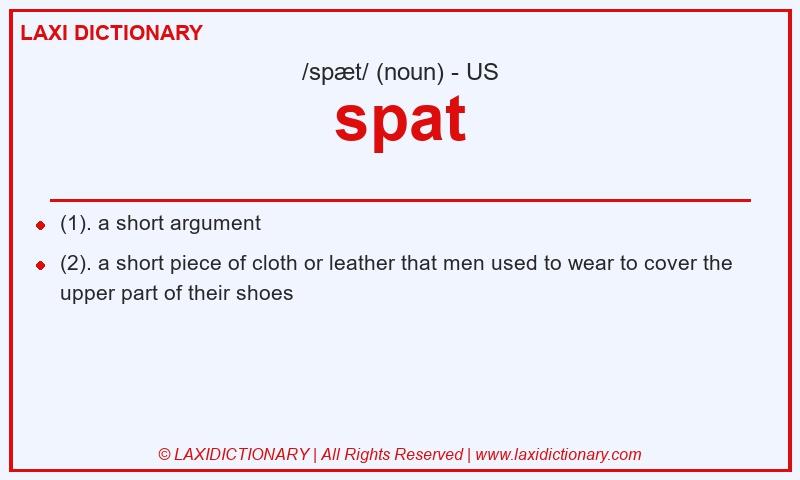 Definition spat in American English
