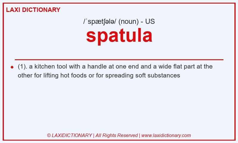 Definition spatula in American English