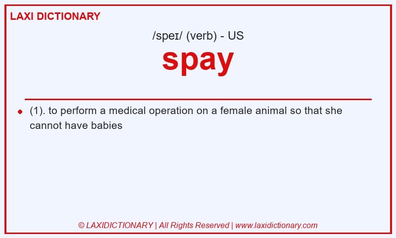 Definition spay in American English