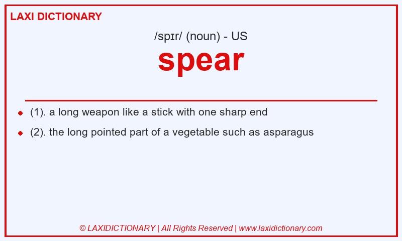 Definition spear in American English