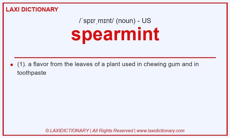 Definition spearmint in American English