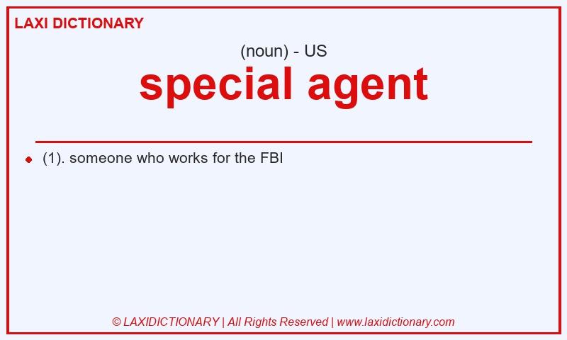 Definition special agent in American English