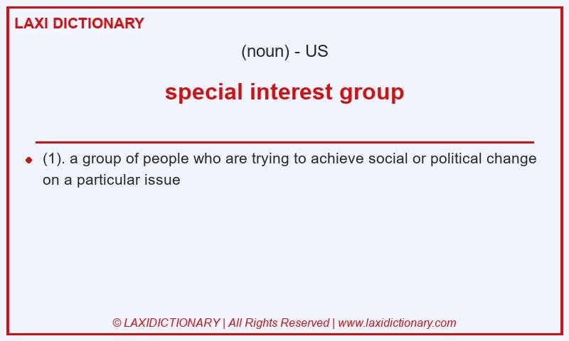 Definition special interest group in American English