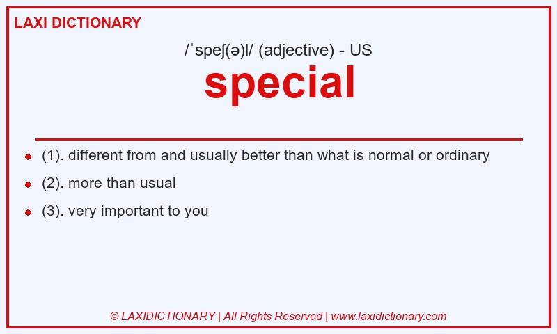 Definition special in American English