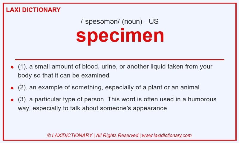 Definition specimen in American English