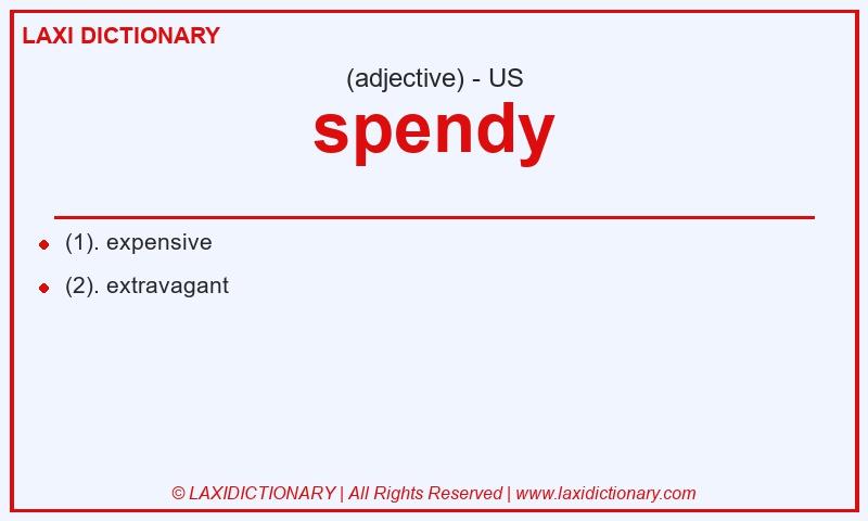 Definition spendy in American English