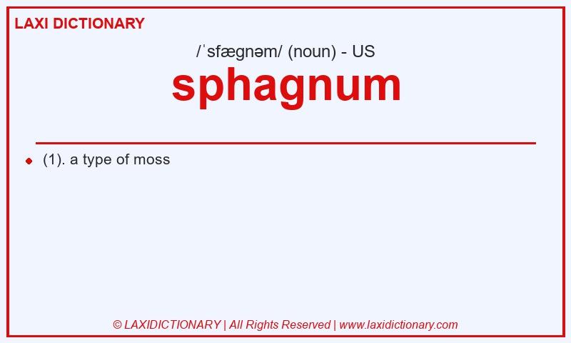 Definition sphagnum in American English
