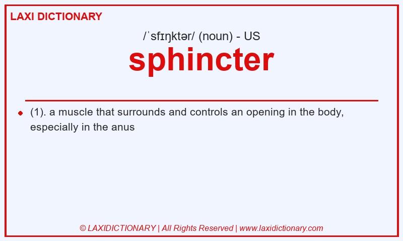 Definition sphincter in American English