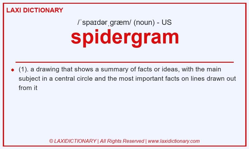 Definition spidergram in American English