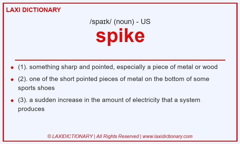 Definition spike in American English