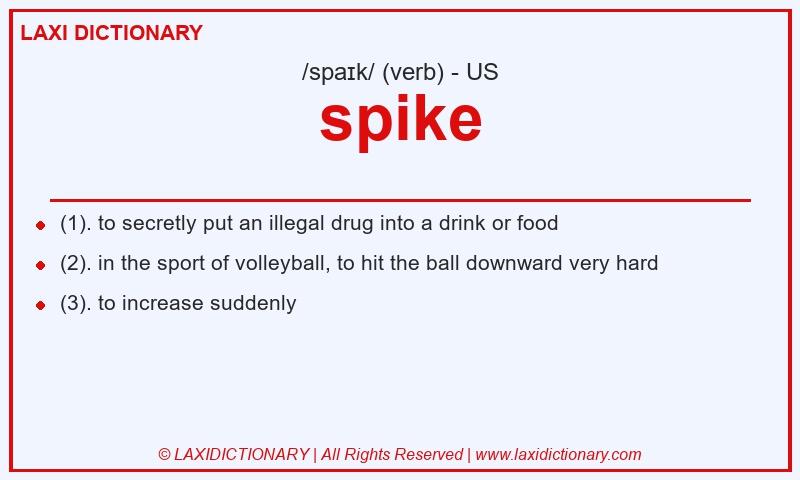 Definition spike in American English