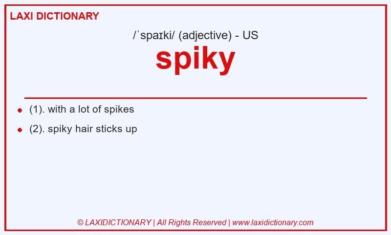 Definition spiky in American English