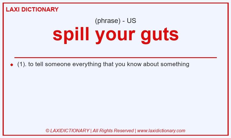 Definition spill your guts in American English
