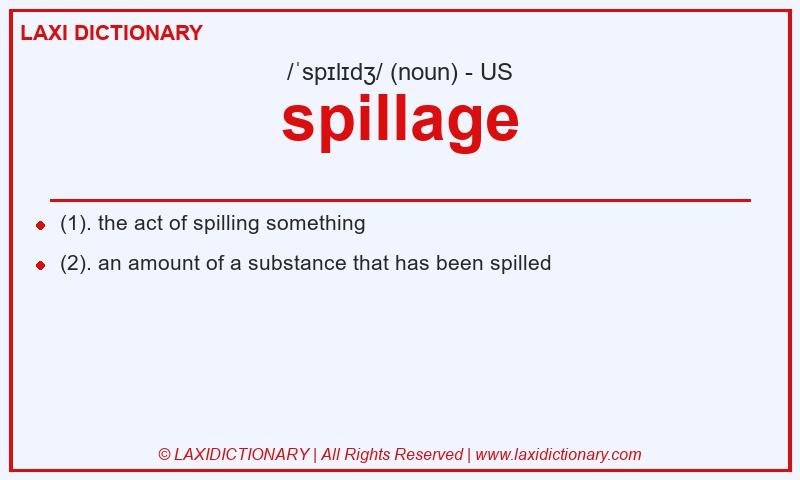 Definition spillage in American English