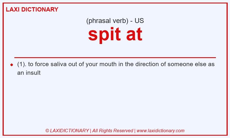 Definition spit at in American English