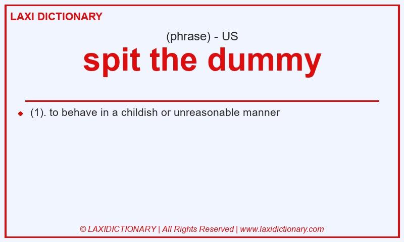 Definition spit the dummy in American English