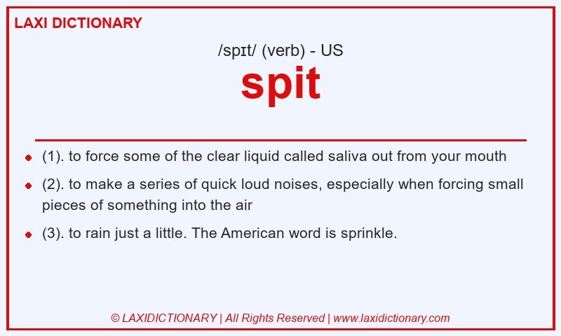 Definition spit in American English