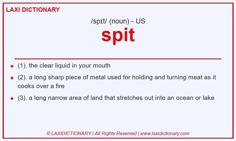 Definition spit in American English