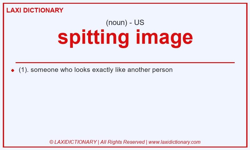 Definition spitting image in American English