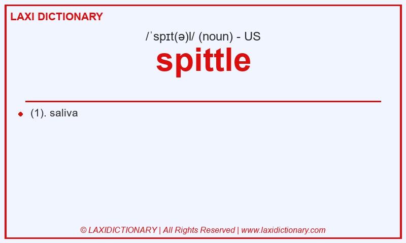 Definition spittle in American English