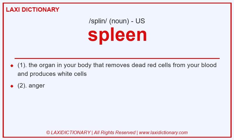 Definition spleen in American English