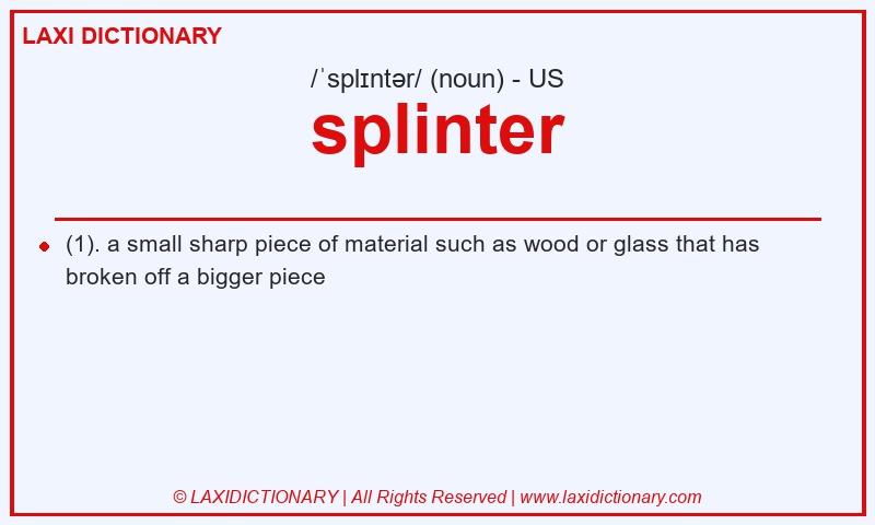 Definition splinter in American English