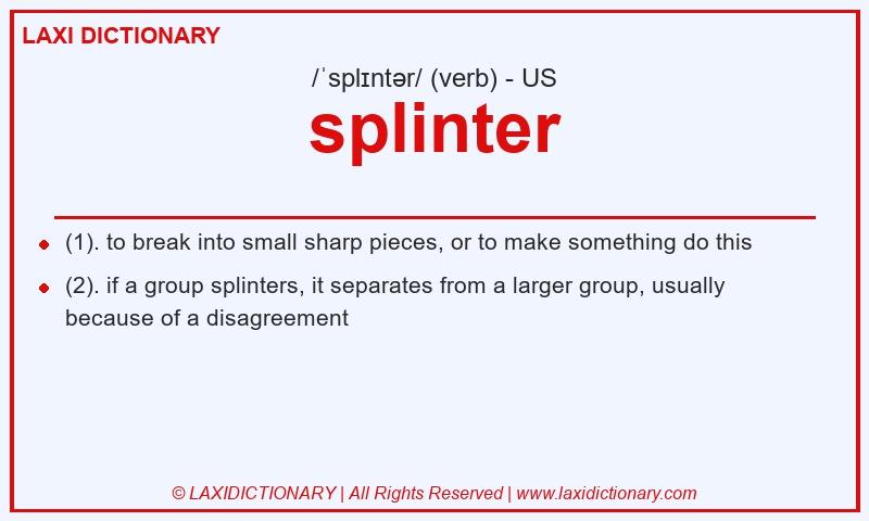 Definition splinter in American English
