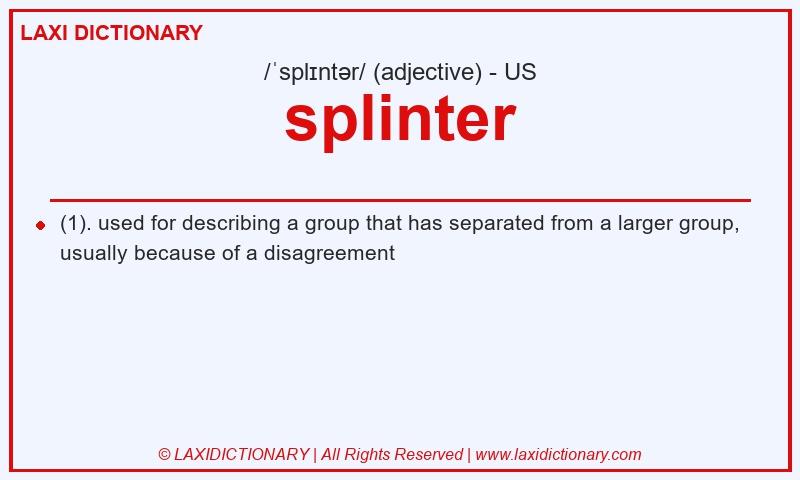 Definition splinter in American English