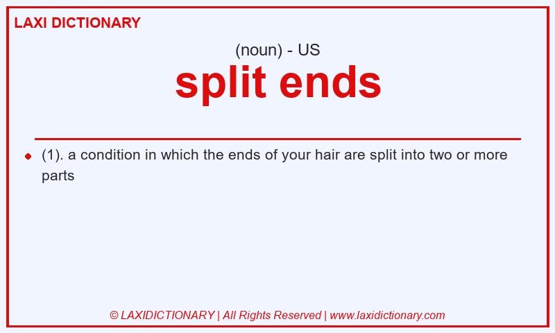 Definition split ends in American English