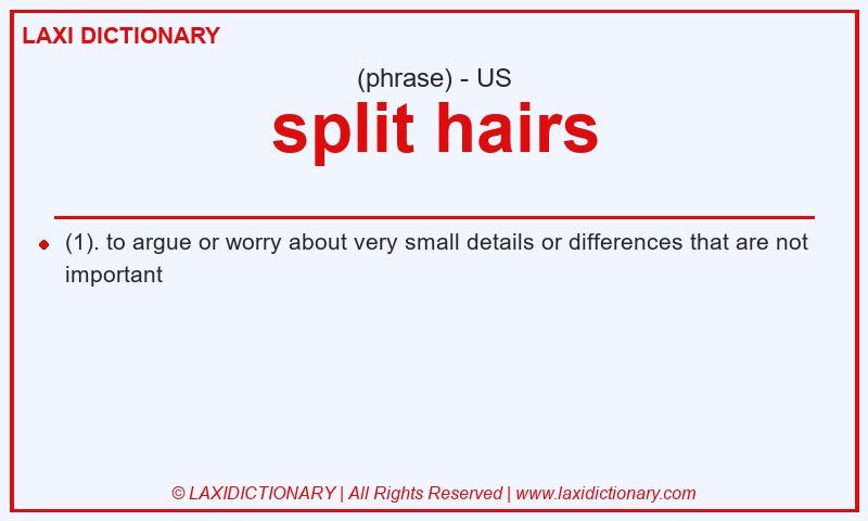 Definition split hairs in American English