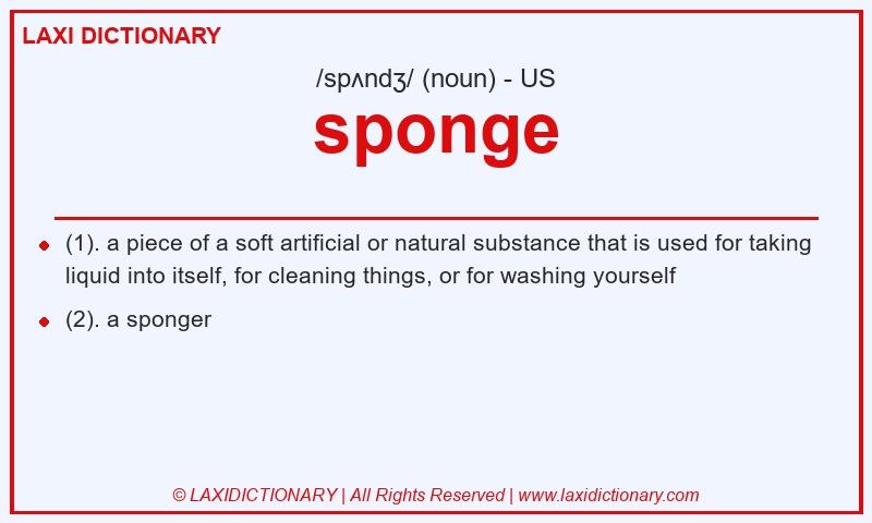 Definition sponge in American English