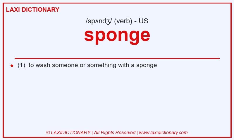 Definition sponge in American English